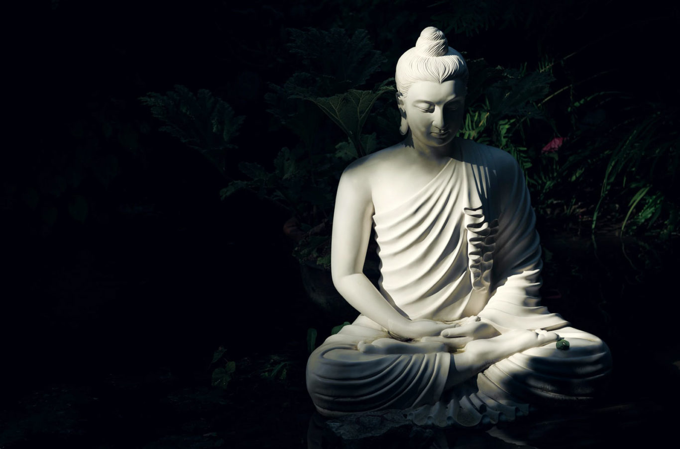 बुद्ध परम्परावादी, अन्धविश्वासी होइन मौलिक विचारक