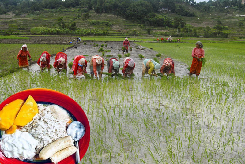 असार पन्ध्रको महिमा