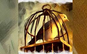 सुनको पिँजडा