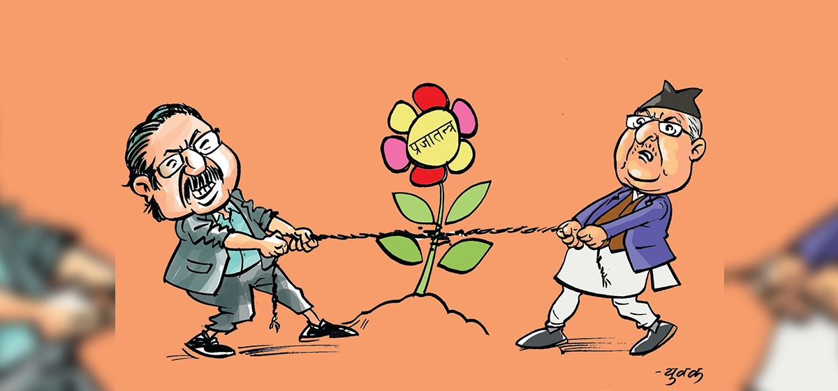 प्रजातन्त्रमा दलको के महत्व ?