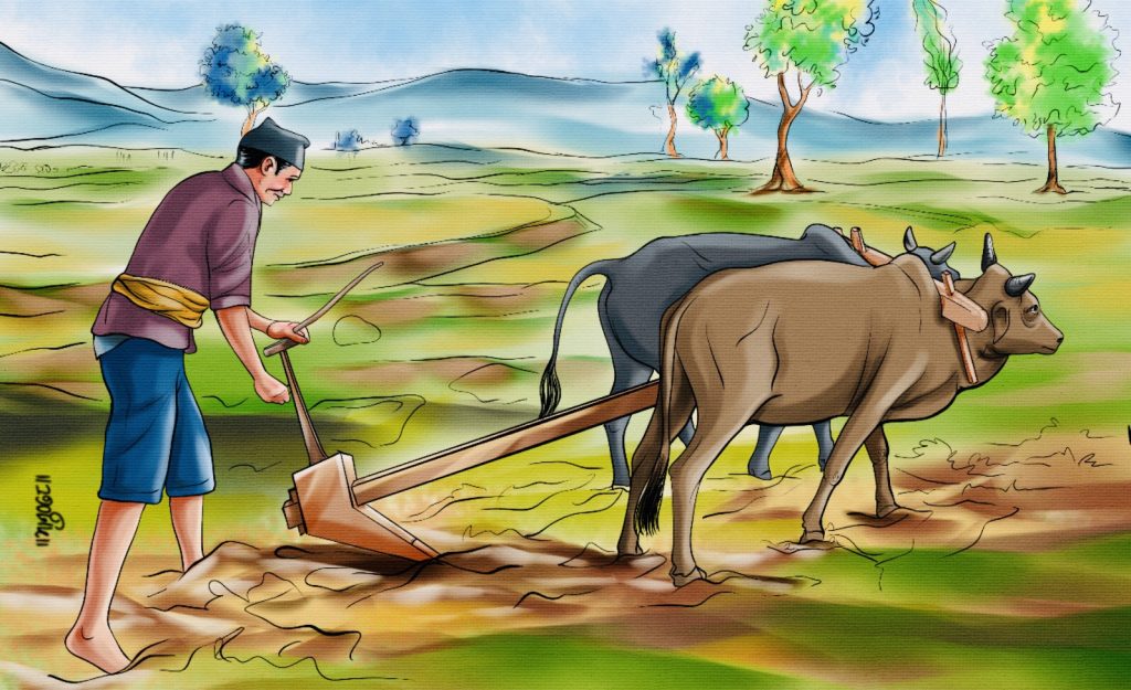 किसानको नाममा ४० प्रतिशत प्रोत्साहन बिचौलियालाई पोषण