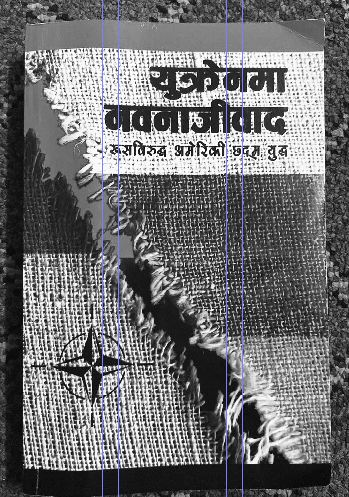 ‘युक्रेनमा नवनाजीवाद : रुसविरुद्ध अमेरिकी छद्म युद्ध’ पुस्तकबारे एक चर्चा