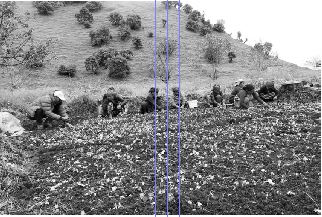 के नेपाल आफ्नै खुट्टामा उभिन सक्छ ?