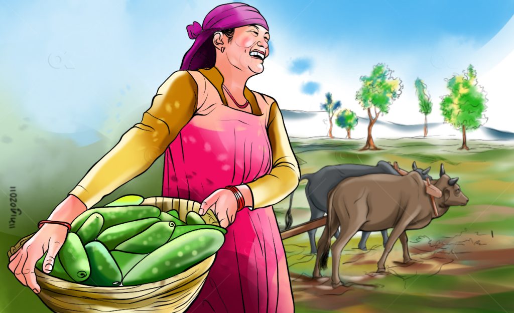 सरकारले नै स्थानीय तहमार्फत बाली बीमा गर्नु जरुरी छ