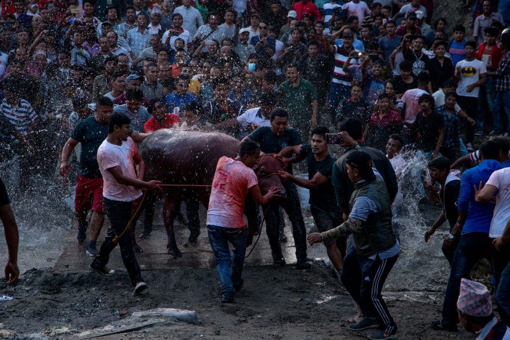 खँम्ये जात्रा व्यवस्थित र अनुशासित रूपमा सञ्चालन गरिने