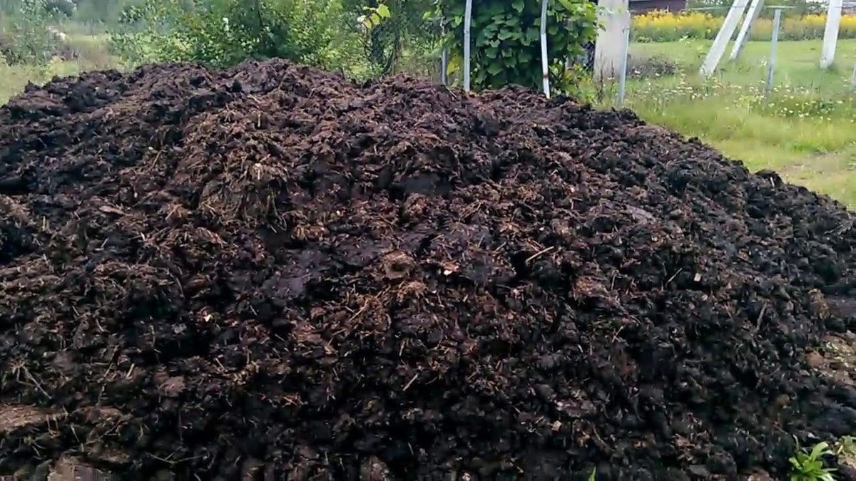 रासायनिक मलको विकल्पमा गड्यौले मल